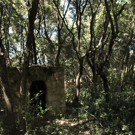 Πανσιόν Il Boschetto San Vito dei Normanni