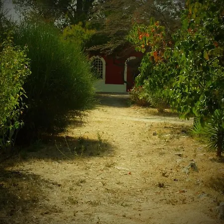 Il Boschetto San Vito dei Normanni