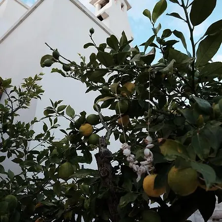 Guest house Il Boschetto San Vito dei Normanni