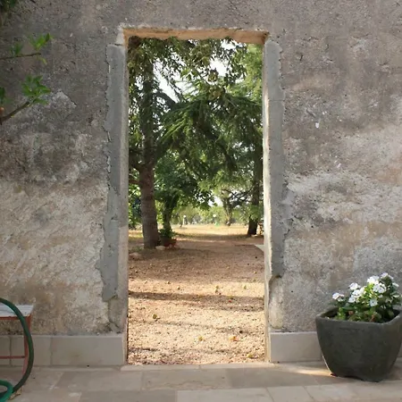 Il Boschetto Guest house San Vito dei Normanni