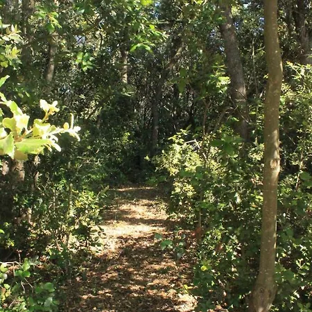 Il Boschetto Guest house