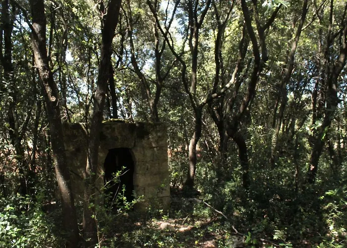 Gasthuis Il Boschetto San Vito dei Normanni